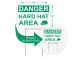 Danger - Hard Hat Area